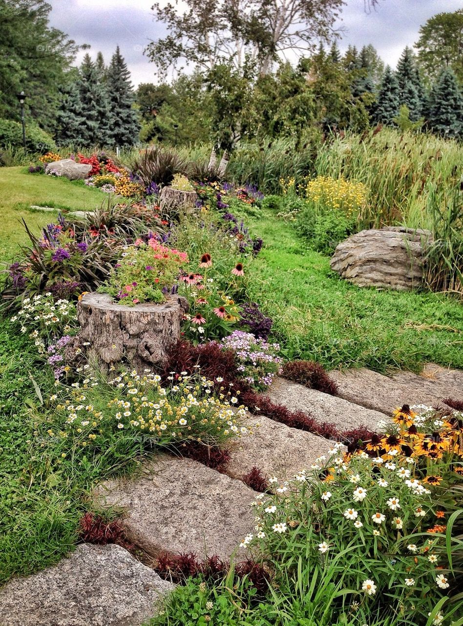 A Path down to the Lake