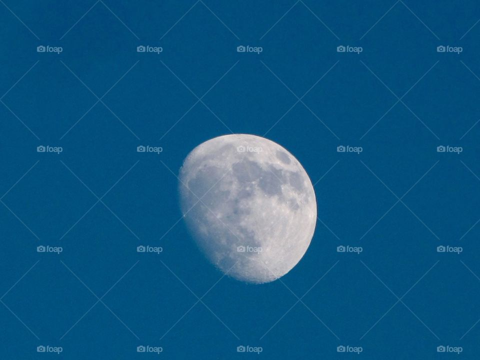 Moon during the day 