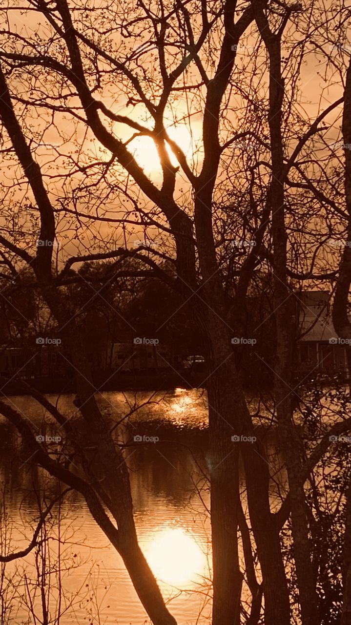 Positioning pic along lakebed gives depth on sunset colors. Trees are bare just about all the leaves have fallen. 