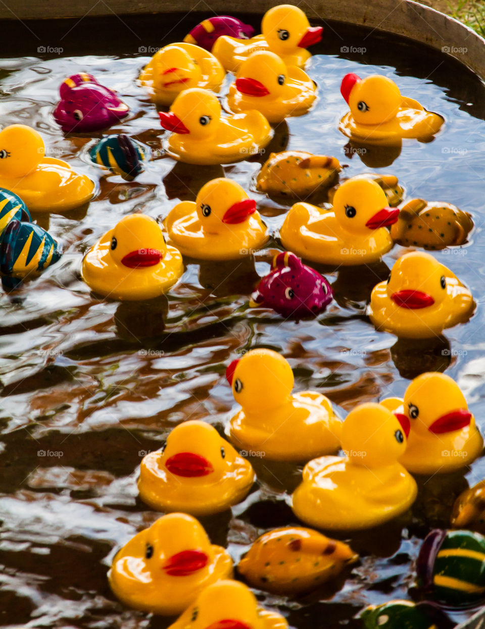 pick a duck. game of chance