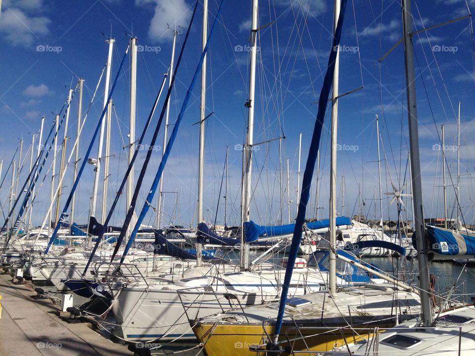 Editor’s Choice: Photo Of The Week