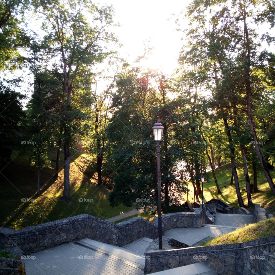 Cesis Castle Park