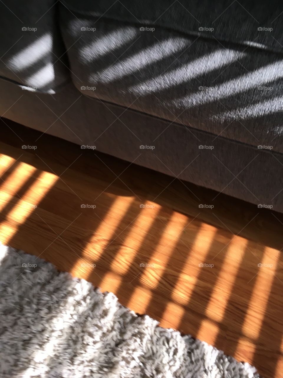 Sunshine through the blinds 