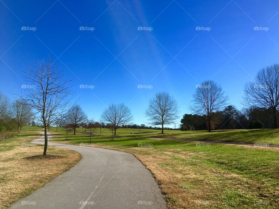 Road, Landscape, Grass, No Person, Guidance