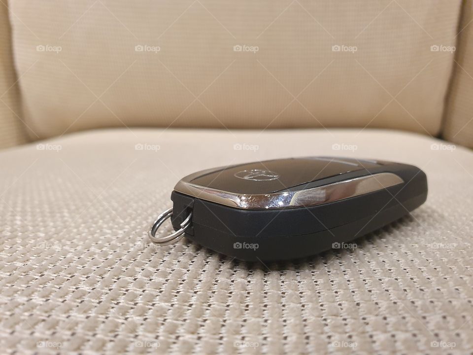 lock the car on the sofa