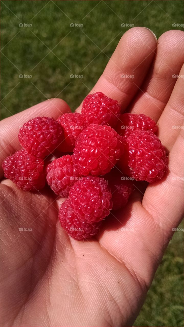Raspberry