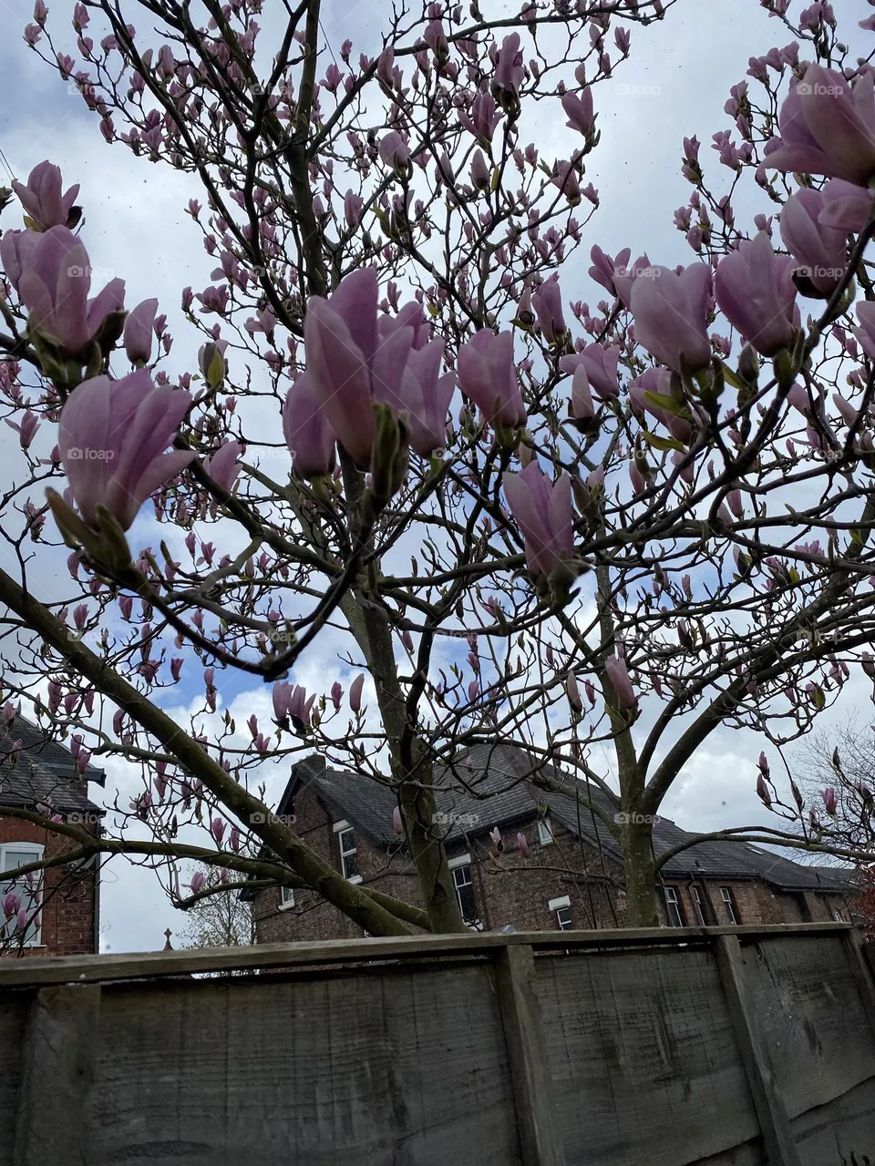 Spring