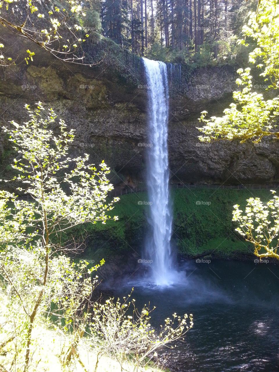 silver falls, Oregon. this beautiful park has so many waterfalls and a 6 mile trail that loops around with a river running they it. there's a gift shop and little history "museum" to visit. I've never seen anything like it.
