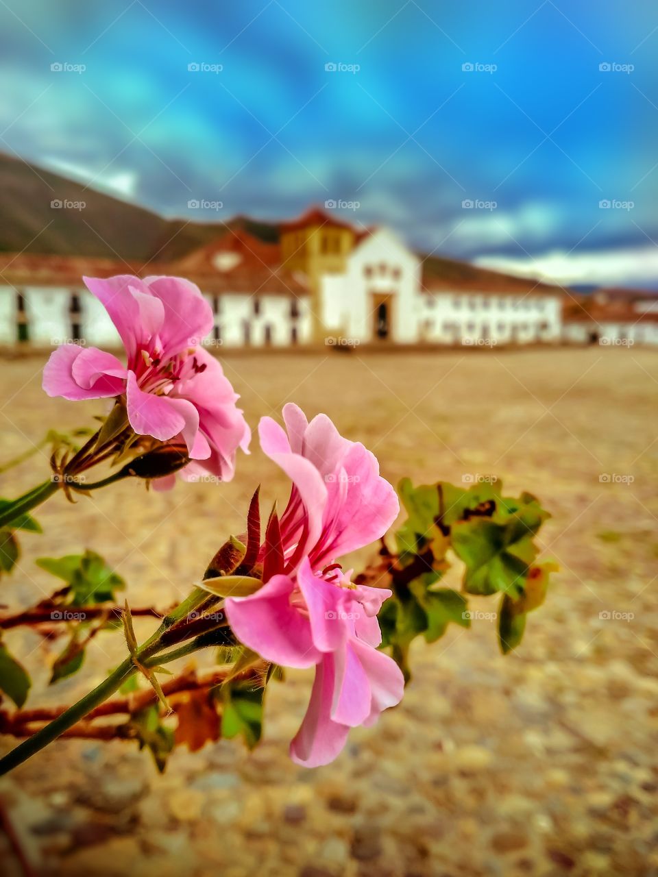 Flores sobre la plaza principal de Villa de Leyva, Boyacá, Colombia en un atardecer durante la cuarentena en mayo de 2020