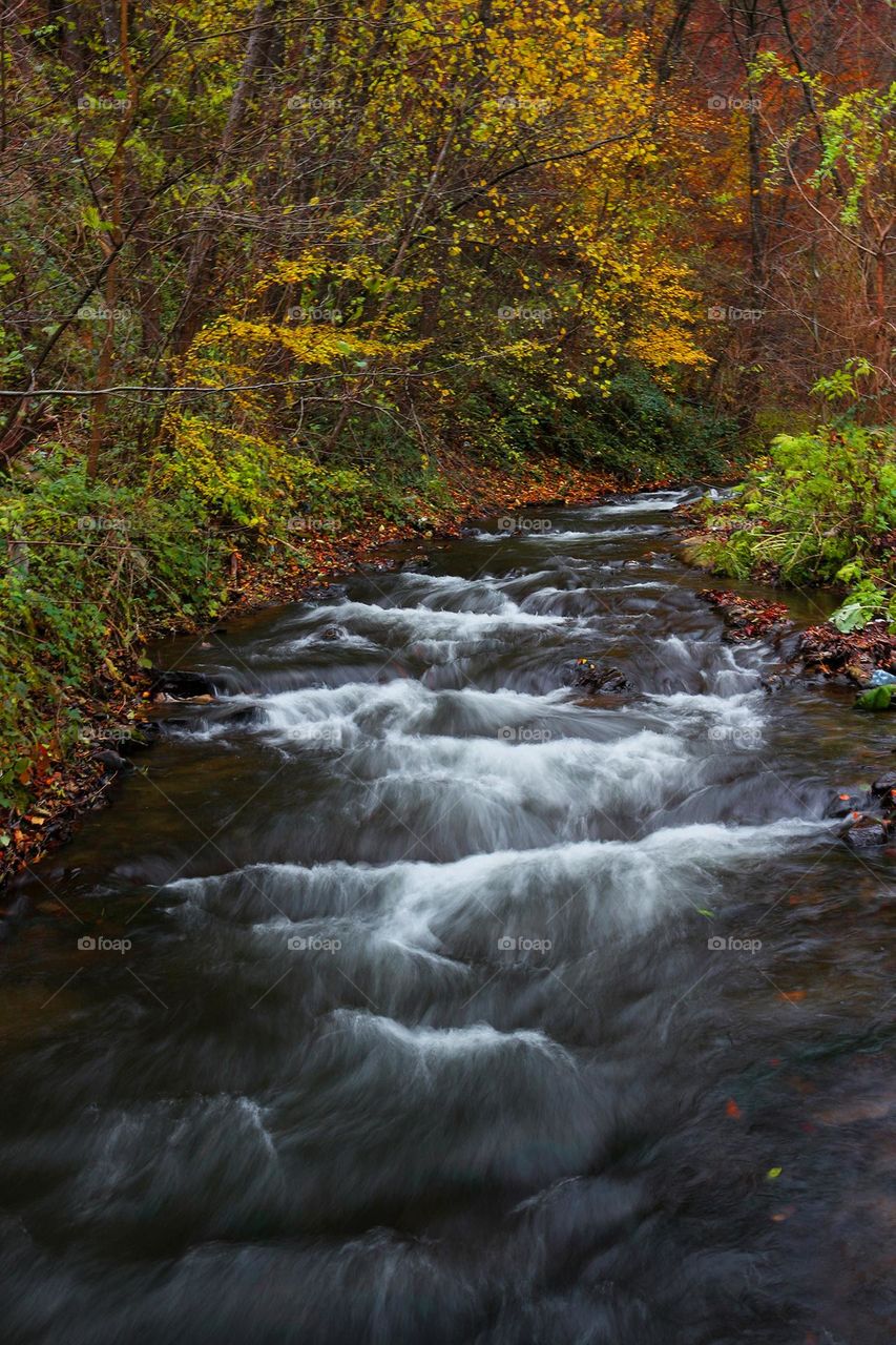 Cold mountain creek