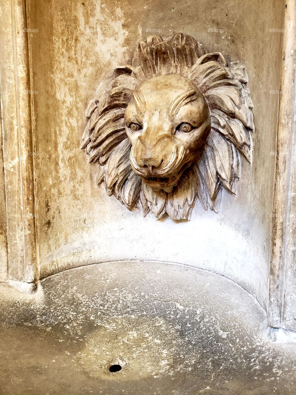 Lion water fountain, Old Water Tower, Chicago, Illinois
