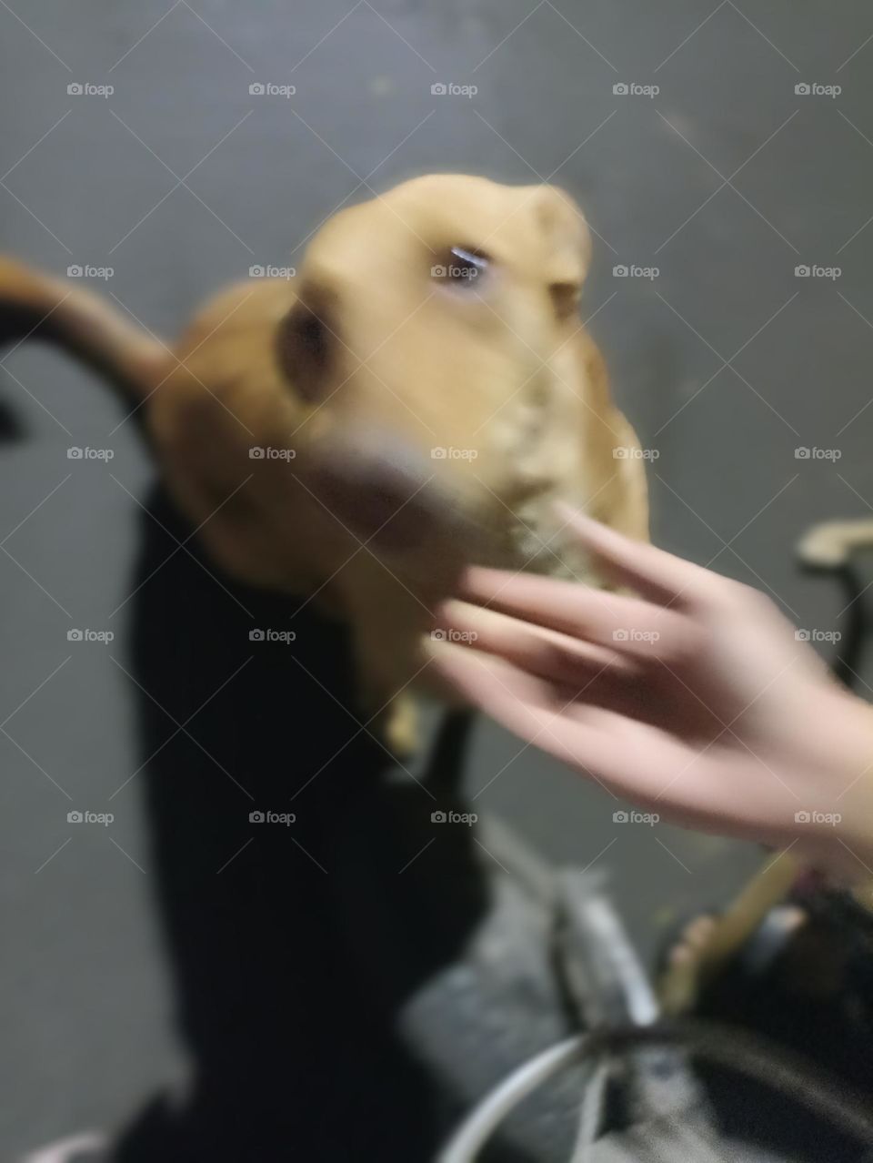 I am currently being very nice to all.