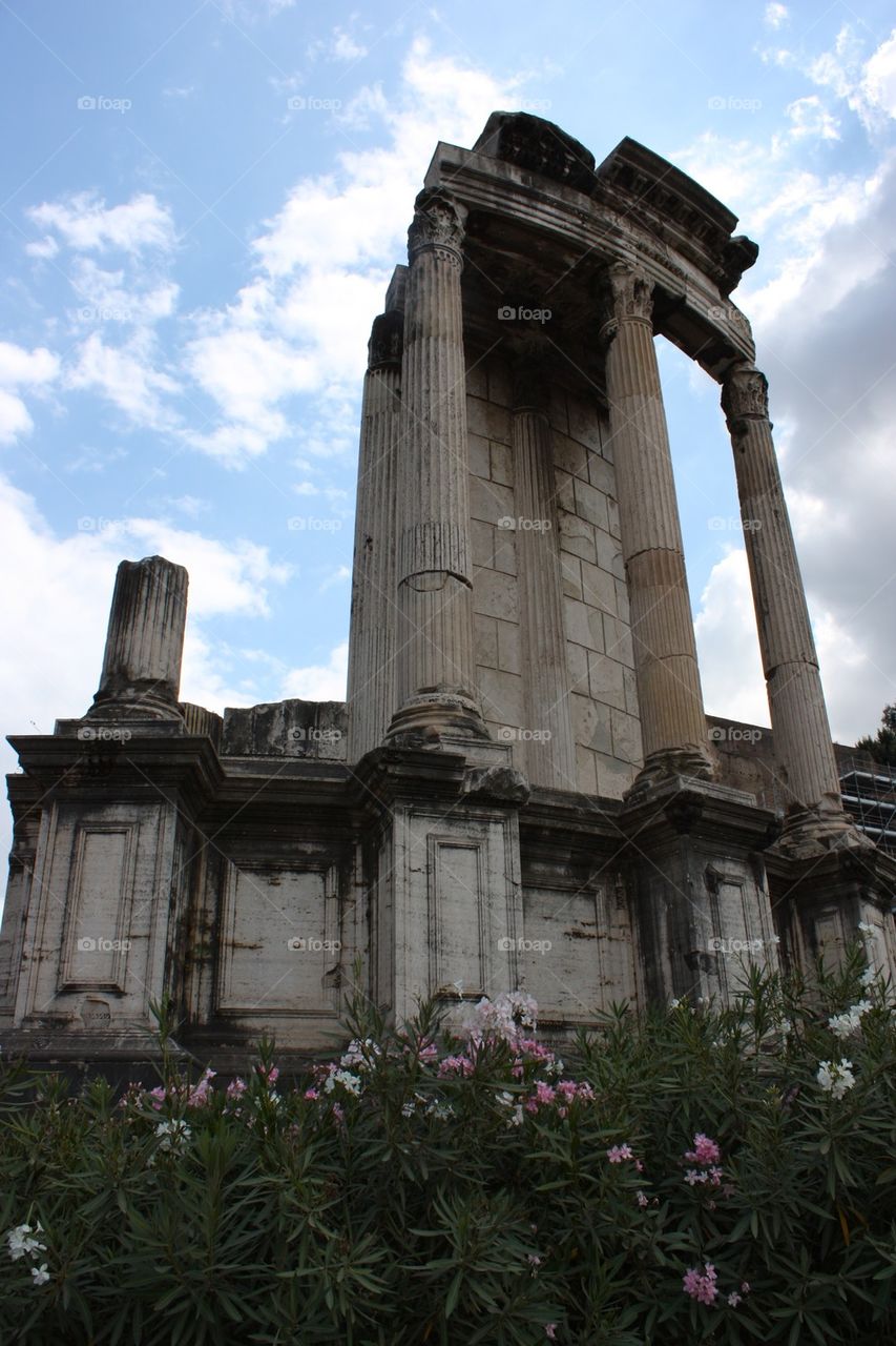 Roman forum 