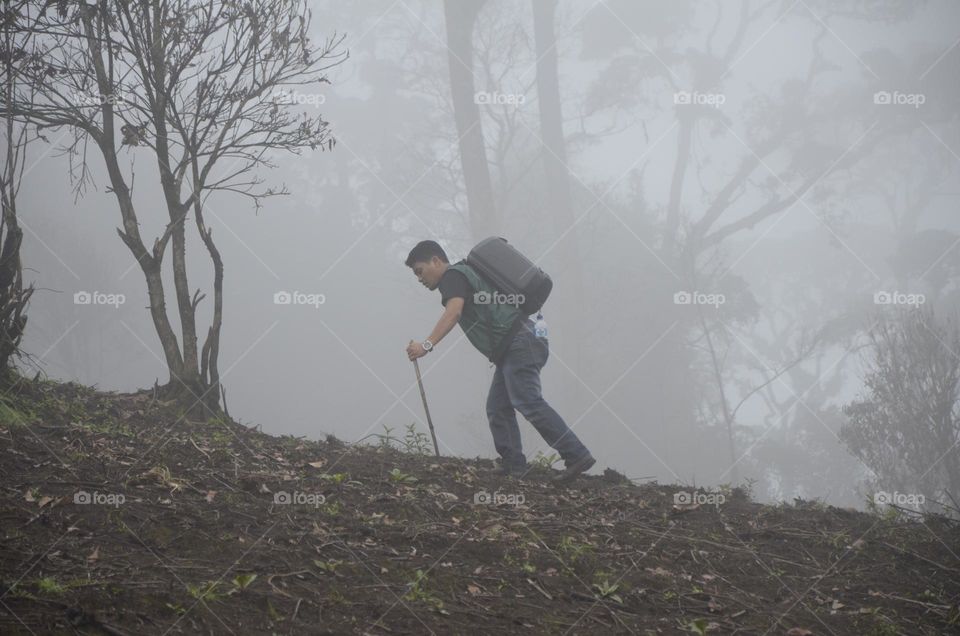 hiker in the forest