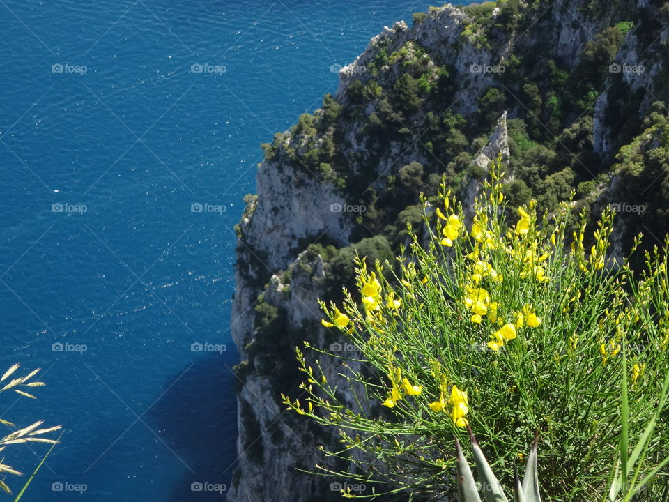 view of Capri