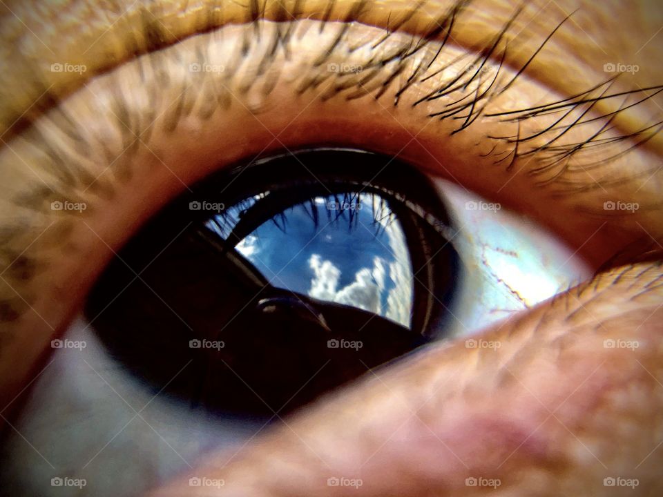 Macro shot of an eye 