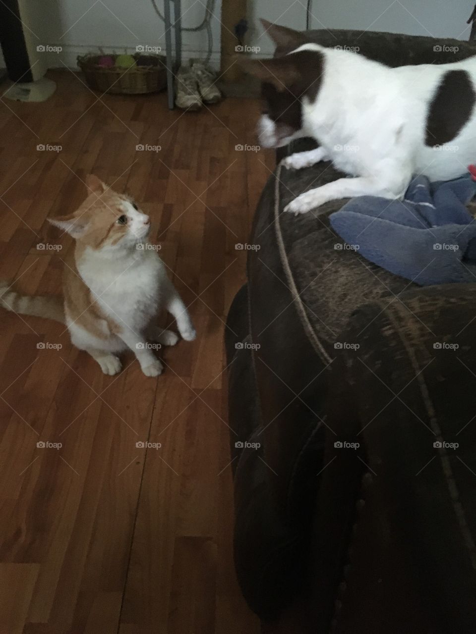 Hey did you hear it’s Monday? What? We have all week before the weekend again? Blah!