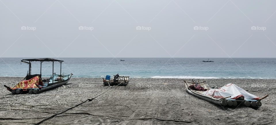 Sea seekers are going to sea