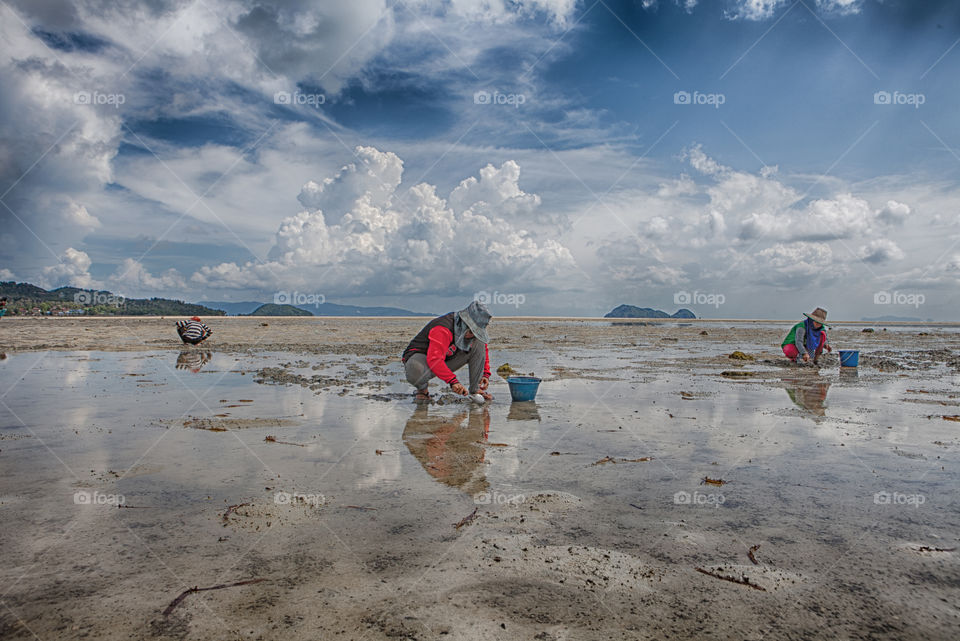 Local Thai people scraping clams from the seabed.