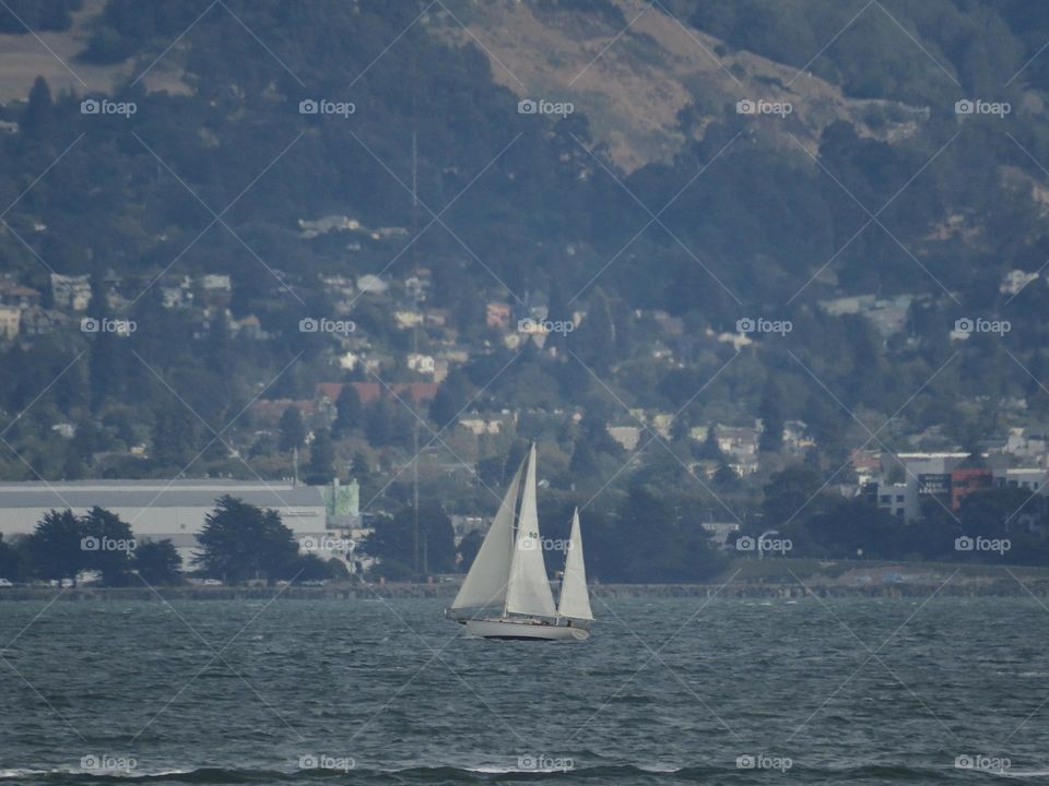 Sailboat in the San Francisco Bay