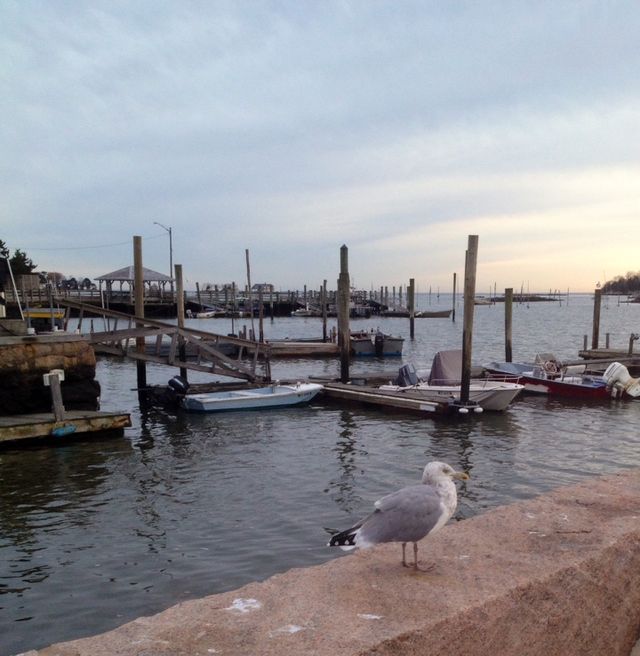 Stony Creek