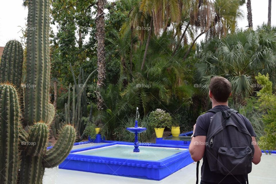 Beautiful jardin Majorelle so much colorful shot with my Nikon 