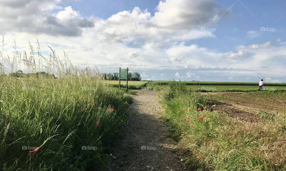crossroads in the countryside’s field