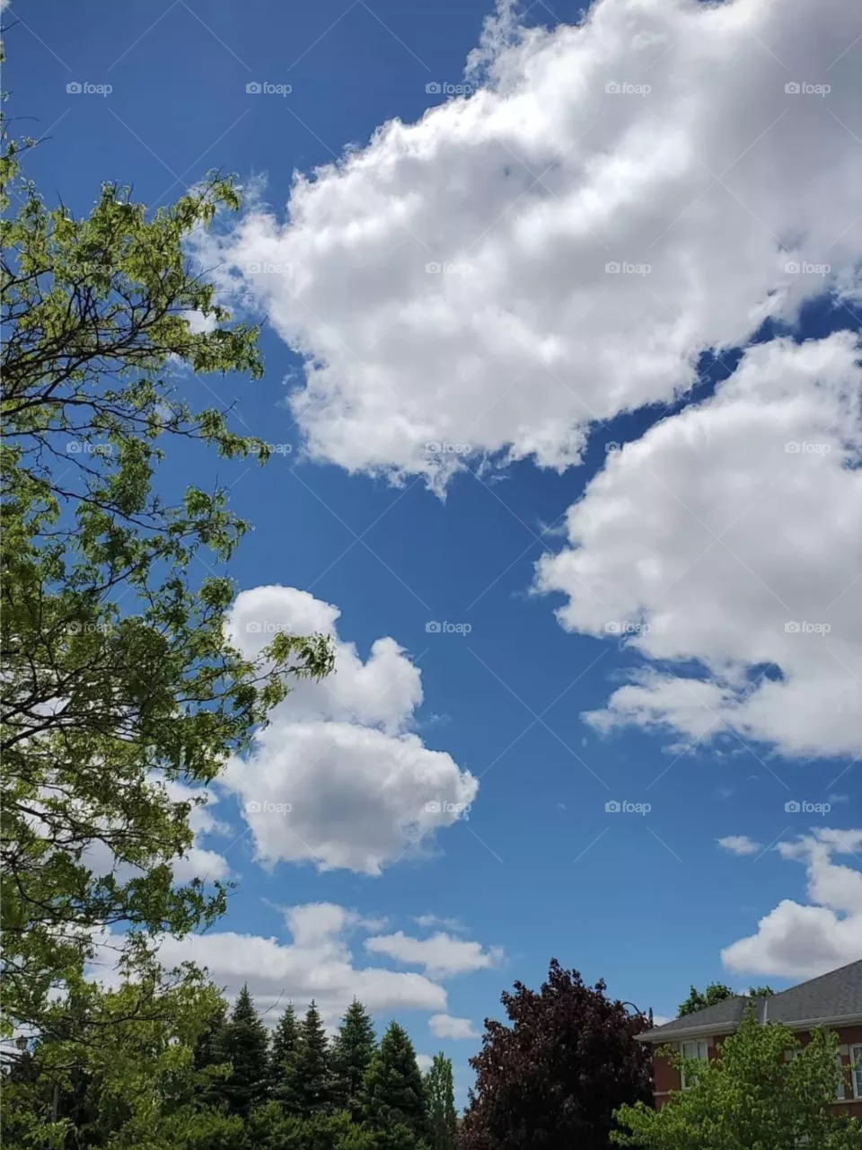 Clouds