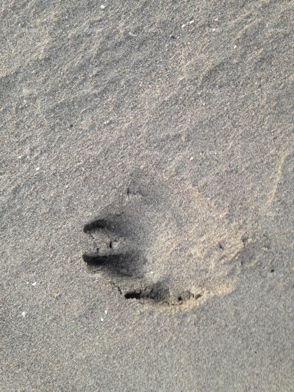 Sand, Beach, Footprint, Seashore, Foot