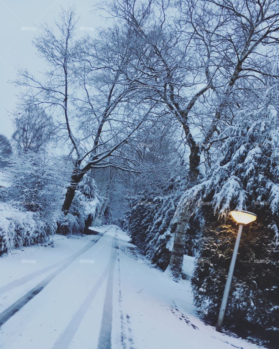 Walking in a winter wonderland. 