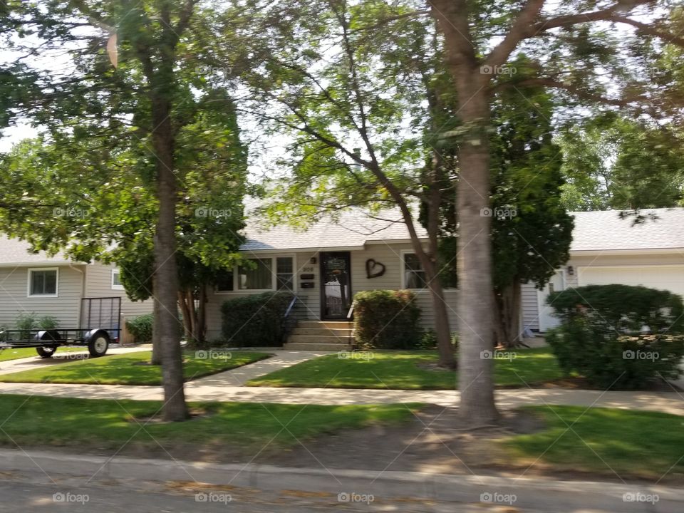 Home, Tree, No Person, Lawn, Road