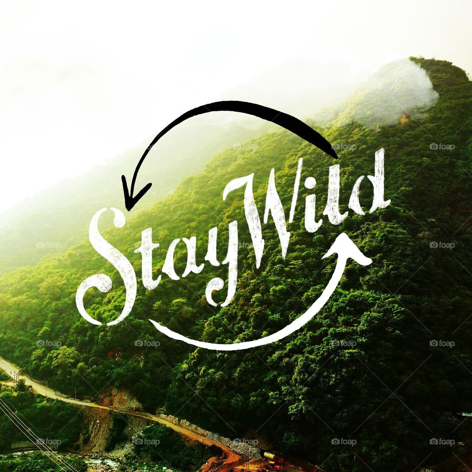 stay wild stay motivated