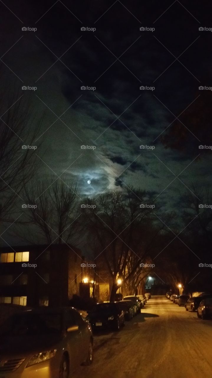 out walking in the moon light