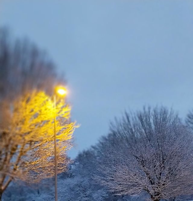 winther