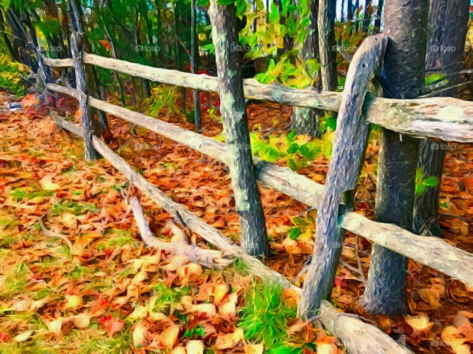 The fence in Autumn. An old wooden fence and a leave covered ground in front of some woods in New Hampshire. Photo was enhanced with an iPhone app brushstroke to make it look like a painting. 