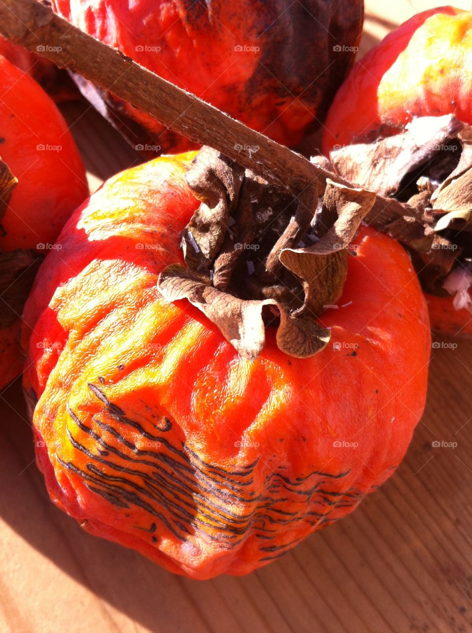 composition of persimmon, typical fruits of autumn