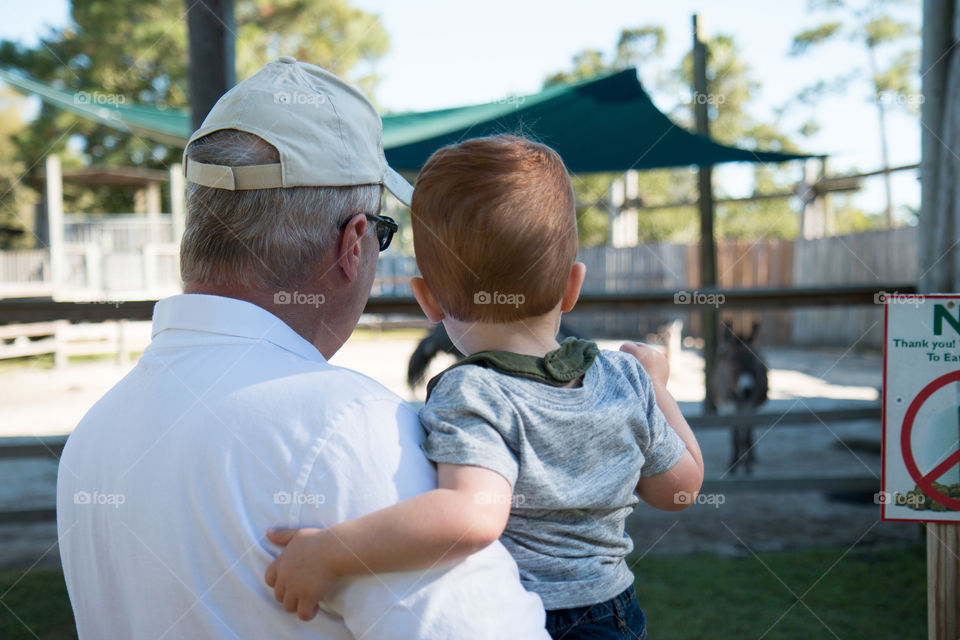 Grandpa and grandson at the zoo