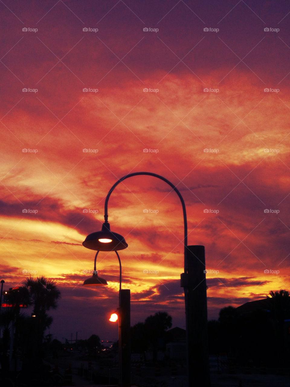 beach sky tree sunset by mksmith