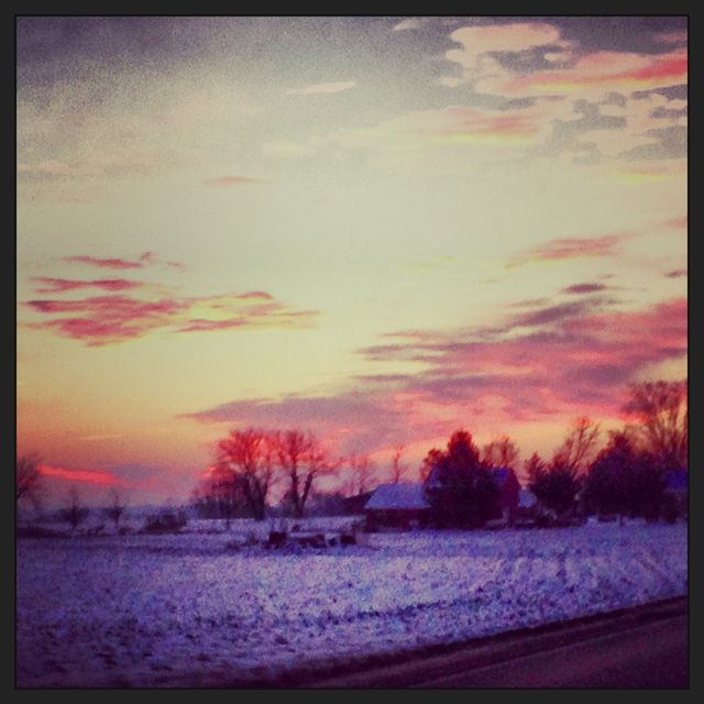 Winter drive 