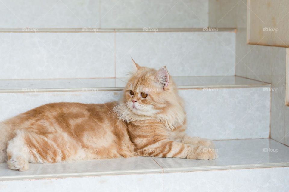 Staircase is my favorite spot.