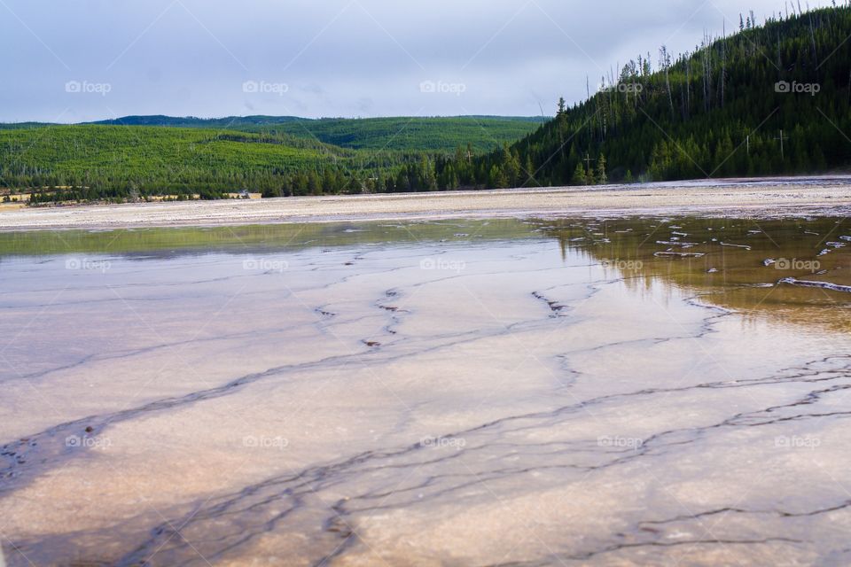 Summer Hot Spring Forest