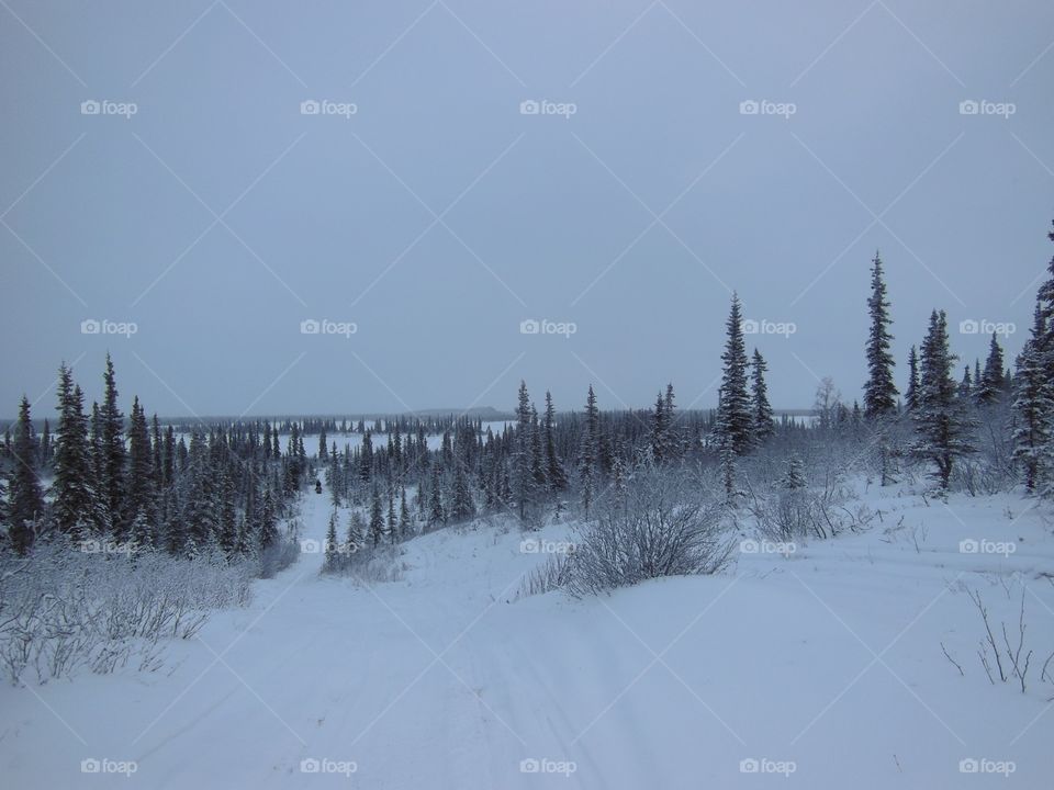 Snow machine trail north of the Arctic Circle 