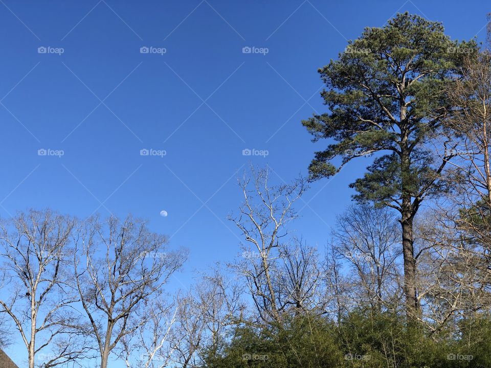 Moonrise in blue sky 