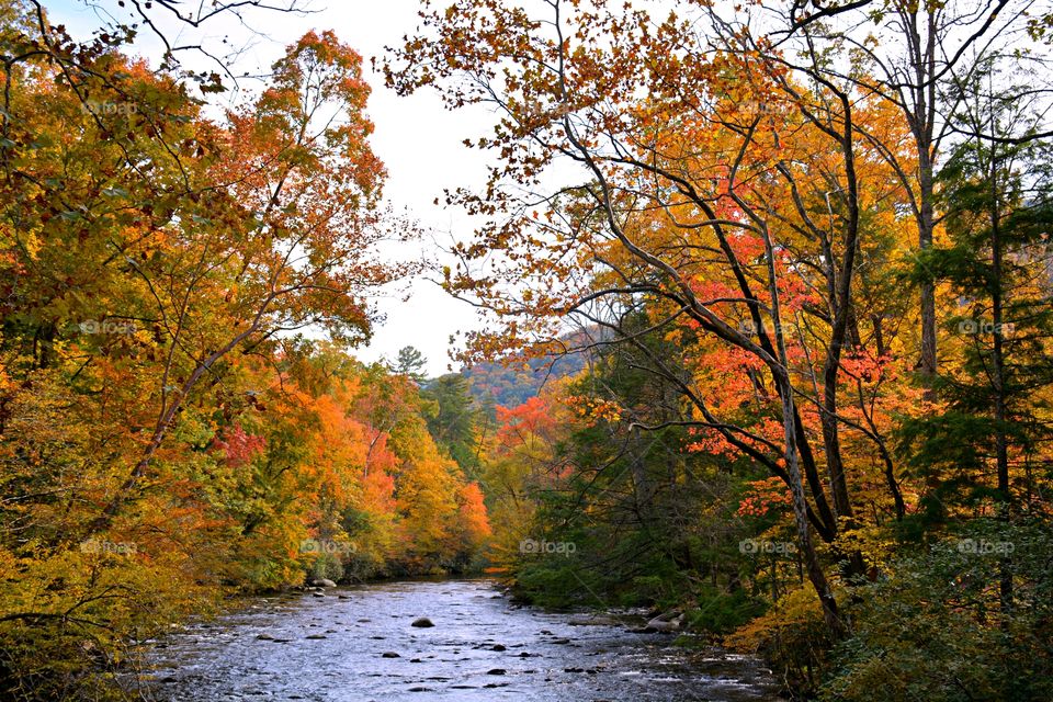 What I see during autumn - I see a stream flow through a corridor of kaleidoscope autumn colors