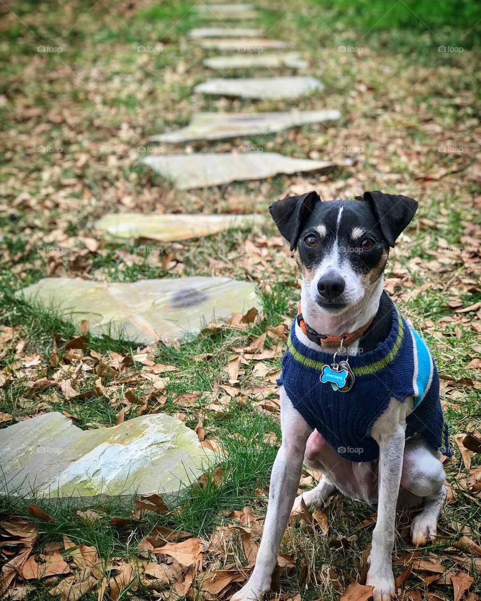 Stepping stones