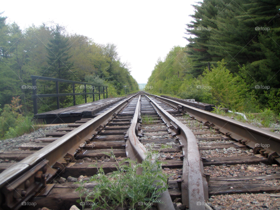 tracks railroad train tracks parallel rails by lagacephotos