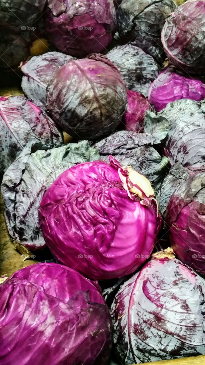 Full frame of purple cabbage