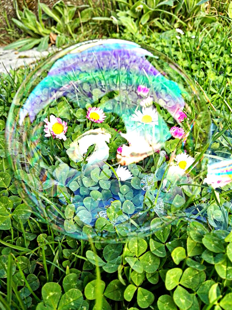 bubble with spring flowers