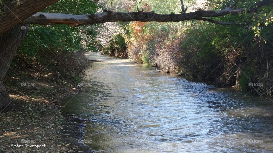 Mellow River