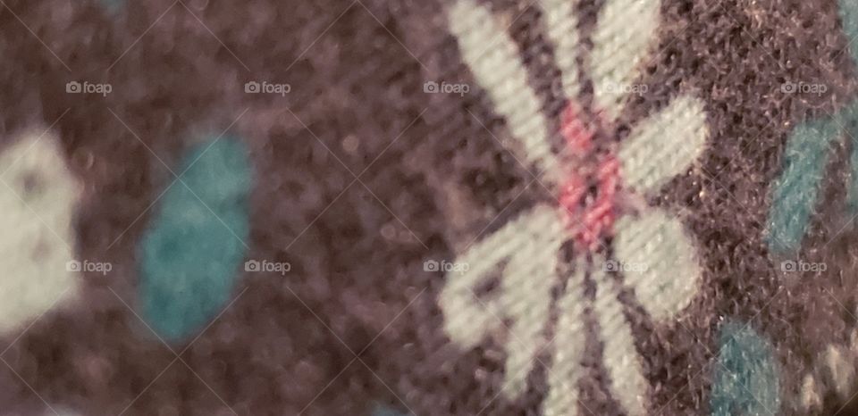 When your 4 year old gets the camera.. she photos her pants😄